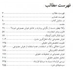 هوش مصنوعی، وکلا، حقوق، وکالت، کتاب، علوم داده، نوآه وایزبرگ، الکساندر هودک